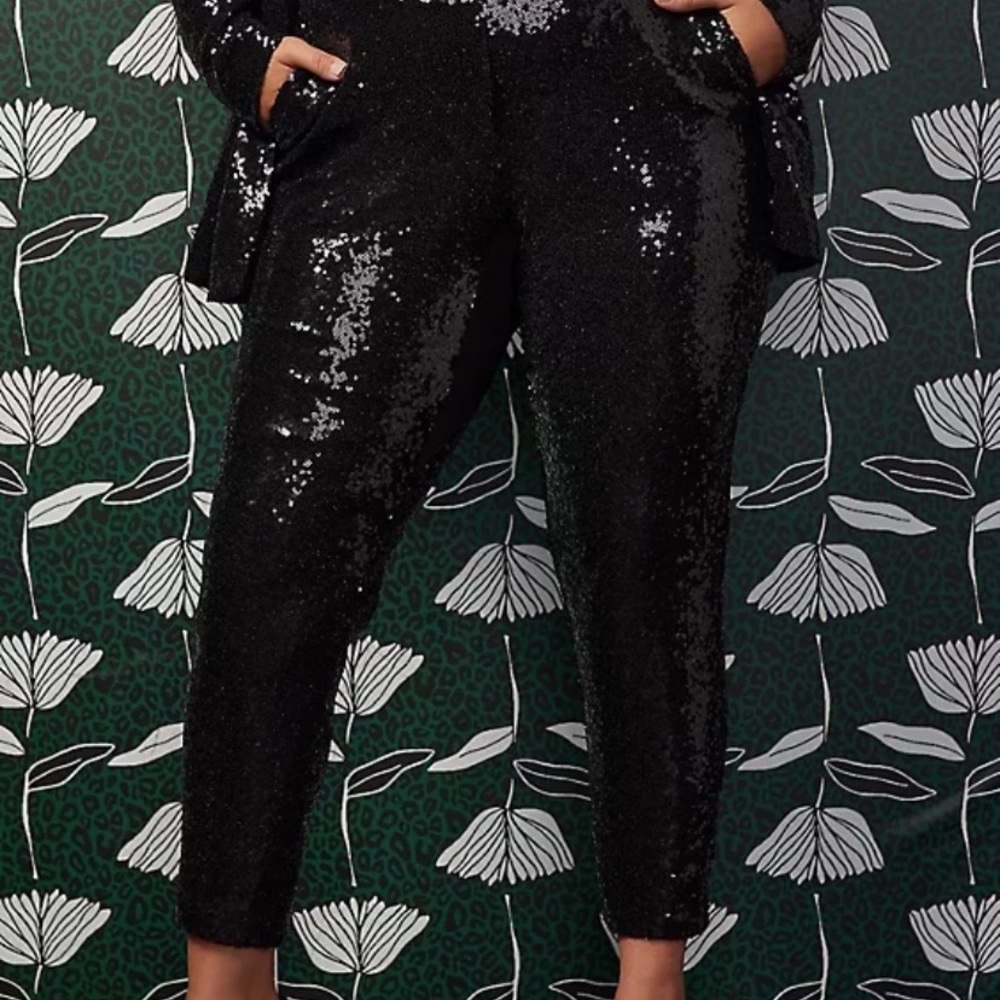 Brand new with tags! Beautiful pants, would be great for the upcoming holidays!